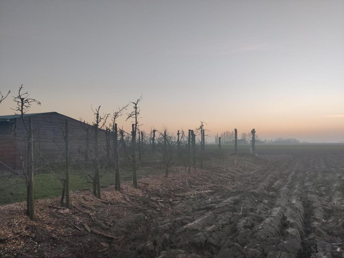 Vakantiehuis De Maretak Vlakbij Brugge & De Kust Meetkerke Dış mekan fotoğraf